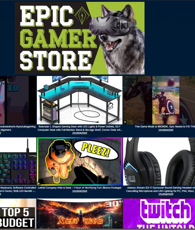 Epic Gamer Store